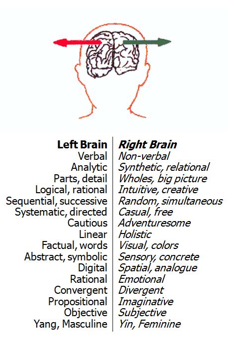 right hemisphere associated with your head is without a doubt liable for right hemisphere associated with this chemistry of the brain will be to blame for